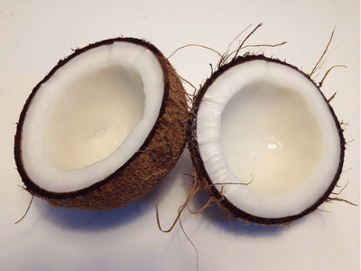 coconut