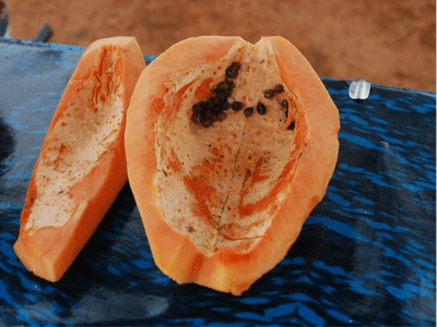 Papaya