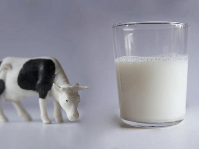 Calories in Cow Milk
