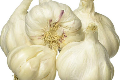 Garlic