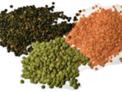 Grains & Lentils