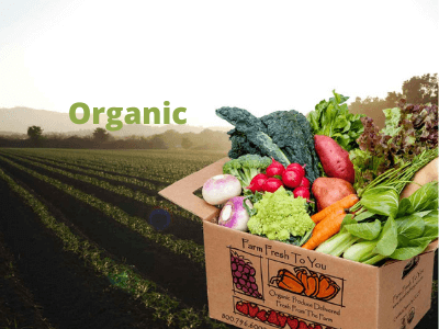 What Is Organic Food? The Benefits Of Organic Food